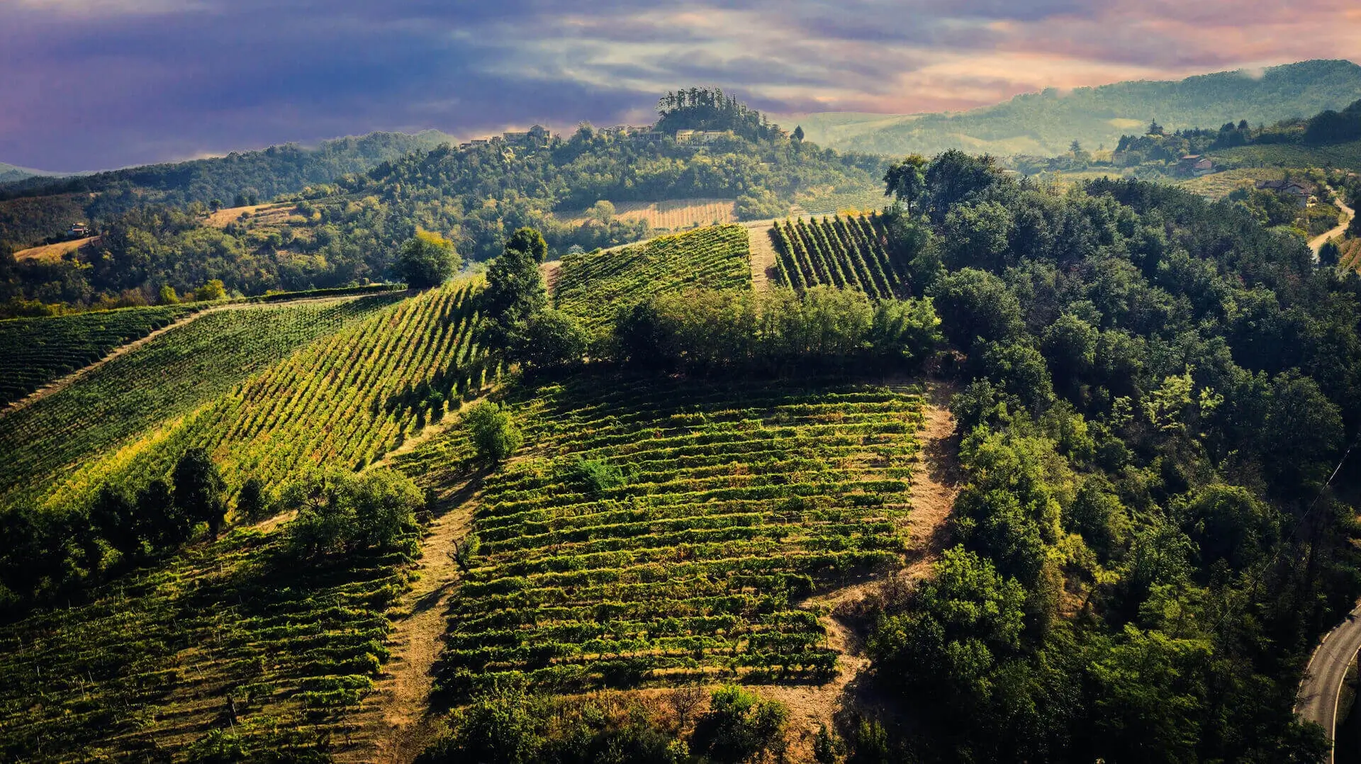 Paesaggio dell'Oltrepò Pavese