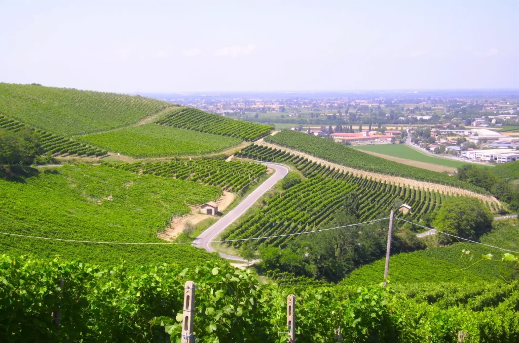 Vista da colline dell'Oltrepò